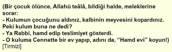 Evladın ölümüne sabır ile ilgili bir Hadis-i Şerif: