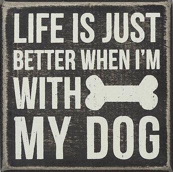 PetMD's tweet image. And for some of us, Life is Better with our cat, our bird, ferret, lizard... which species is your companion?