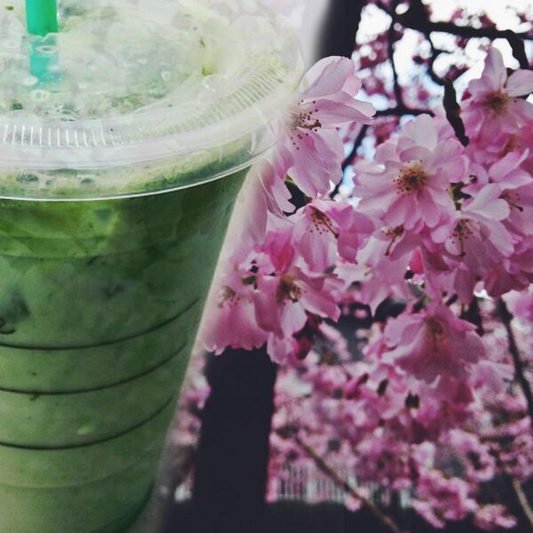Iced Green Tea Latte + 1 pump vanilla = Spring in a cup. #ProTip