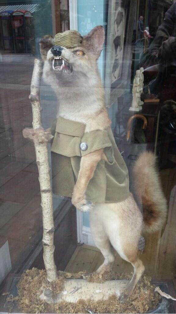 "OK Scouts, follow me into the Woods and watch out for those child-eating Wolves, they can be extremely cunning."