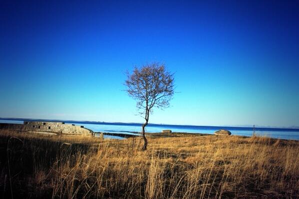 Foron Wang (@16195139) on Twitter photo 