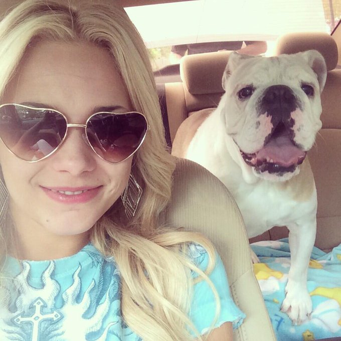 Road trip with my dawg ✌️💗🐶 #englishbulldog #blondie #furbaby #happyface http://t.co/SXaRtG6Cjy<a href="/tag/englishbulldog"class="tags">#englishbulldog</a><a href="/tag/blondie"class="tags">#blondie</a><a href="/tag/happyface"class="tags"><span>#happyface</span></a><a href="/tag/furbaby"class="tags"><span>#furbaby</span></a>