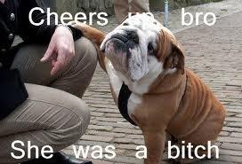 Cheer Up Bro