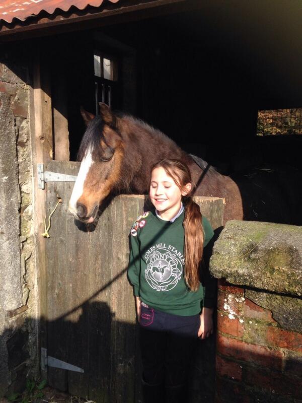 noteworthydevon's tweet photo. Excited tomorrow is .@LaurasLessons 1st anniversary, it is a fab riding school with lovely horses and pony's http://t.co/HsJ8lEazMW