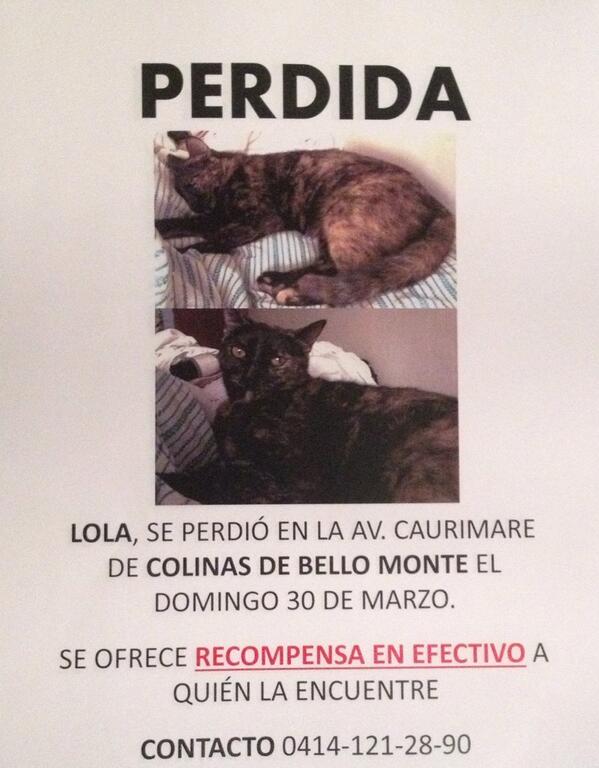 Stephaniebds's tweet photo. Encontramos a Lola!! Tiene la pata fracturada pero se mejorará, mil gracias a todos por su ayuda!! @perritocallejer http://t.co/QkUDegk16d