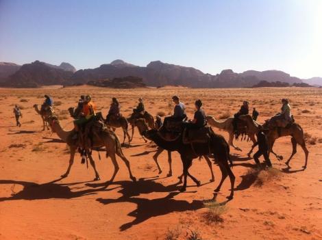 CathrynnBrown's tweet photo. Adventures galore for our son Drew, who's spending his spring semester in the Middle East. He's the person... http://t.co/KAZaiLasjH