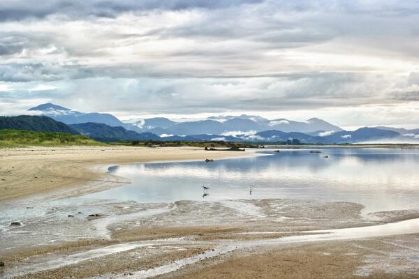 Tim Barrable tweet media