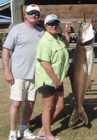 CBSportfishing's tweet photo. #cobia #centerfold #cocoabeach #portcanaveral #cocoabeachsportfishing #ling http://t.co/zeylxNul26