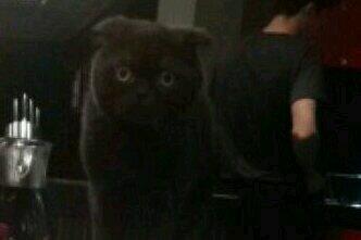 ChocoBeo's tweet image. Slt