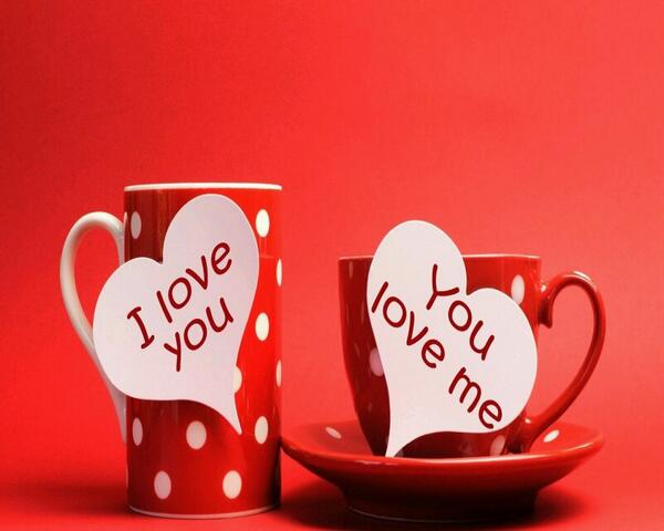 ScorpioCountess's tweet photo. إحترمني جيداً و عاملني بذَوق وتَقدير
لن يكون على رأسي ريشه ! 
بَل سَيكون على رأسي أنتَ http://t.co/y02fEdcfl0