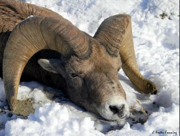 MSMCBaseball's tweet image. Bring out the broomsticks