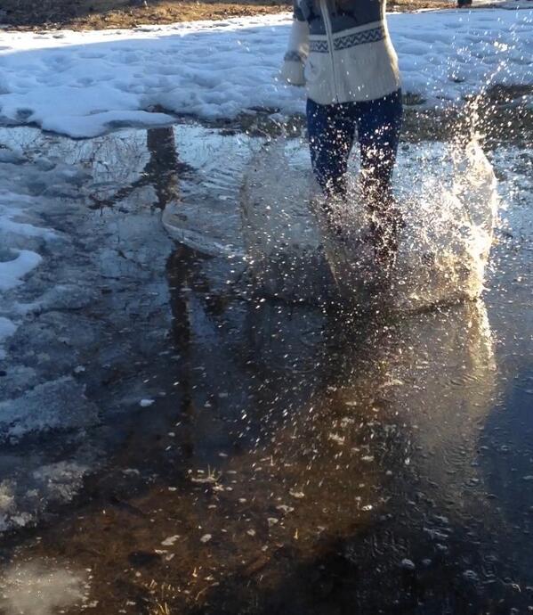 chelsey_eckhard's tweet image. Tht was a deep puddle #puddlefun