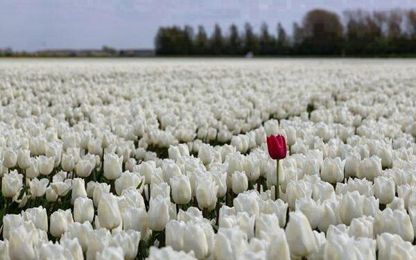 If you are lucky enough to be different... don't ever change.