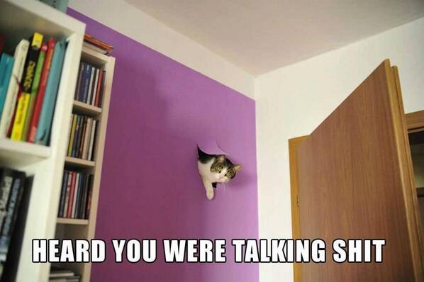 VodkaCupcakes69's tweet image. When someone says I&apos;m too old for#Disney @Disney #WhatTheProblemIs