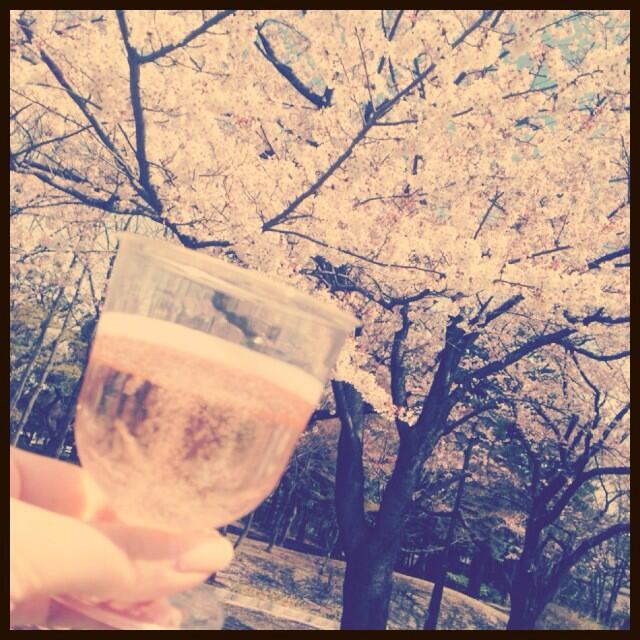 お花見♡ポカポカお天気で気持ち良い(*^^*) http://t.co/LoJinuHtOz