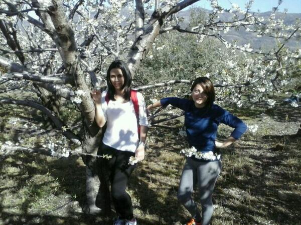 Carolina8SF's tweet photo. Cerezos en flor con @Ingridv91 http://t.co/FrqnPlNQZb