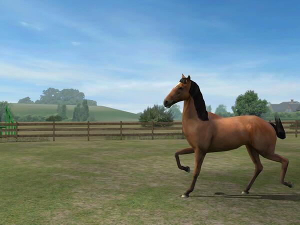 InfoSnoopy's tweet photo. Sieh dir mein Foto an! Füge mich hinzu, RusticBeige461. #MyHorse🐎 http://t.co/F3pi7VpAnZ http://t.co/X1xohkdFd5