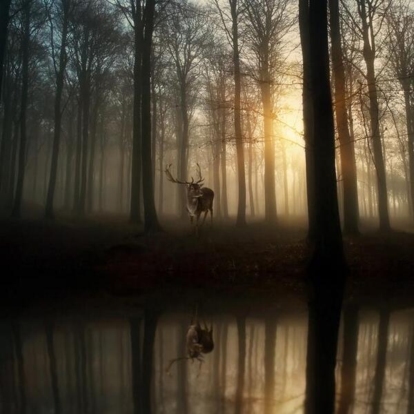 Gabriele_Corno's tweet photo. Meeteng The Unknown, Germany by Oer-Wout http://t.co/3XDFHZfVwp