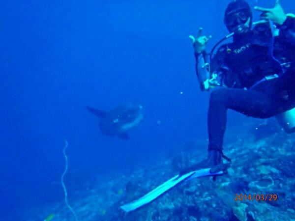 andy_aer's tweet photo. My 3rd molas in this year http://t.co/BgPOe97fOW