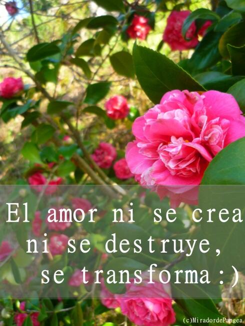 Feliz domingo a todo@s con mucho #amor >>>