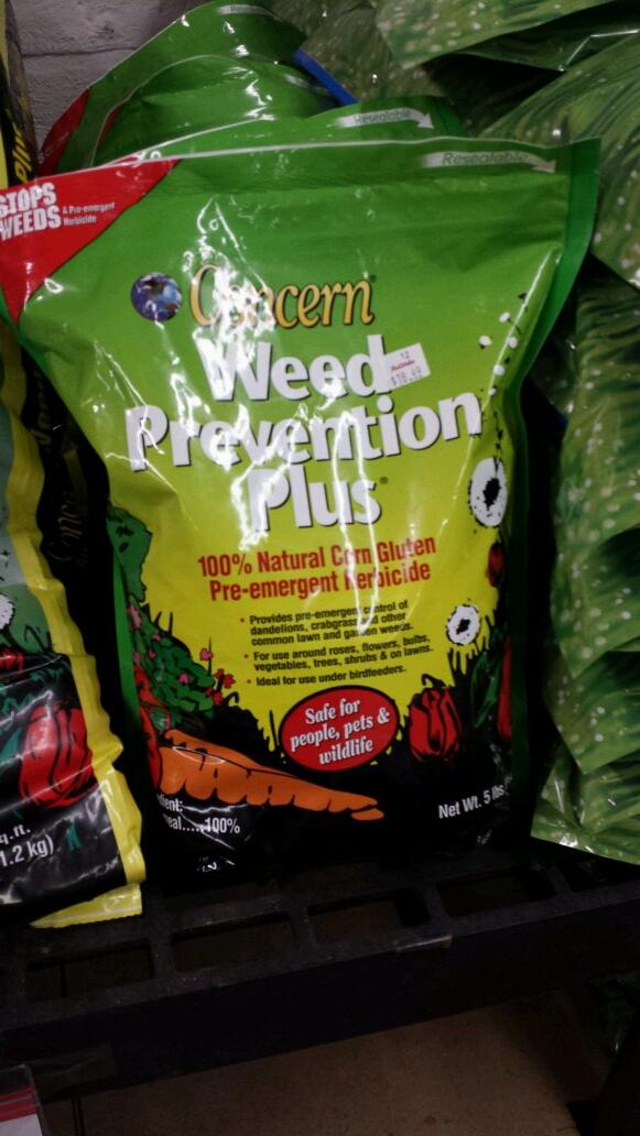 tpokeefe's tweet image. 