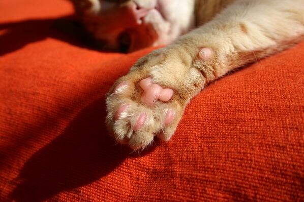 nastja_str's tweet image. @Lobenko90 доброй ночи.