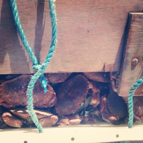 CamdenKitchen's tweet photo. Lunch sorted-Bullock Harbour Style http://t.co/KaVvIQaLr7