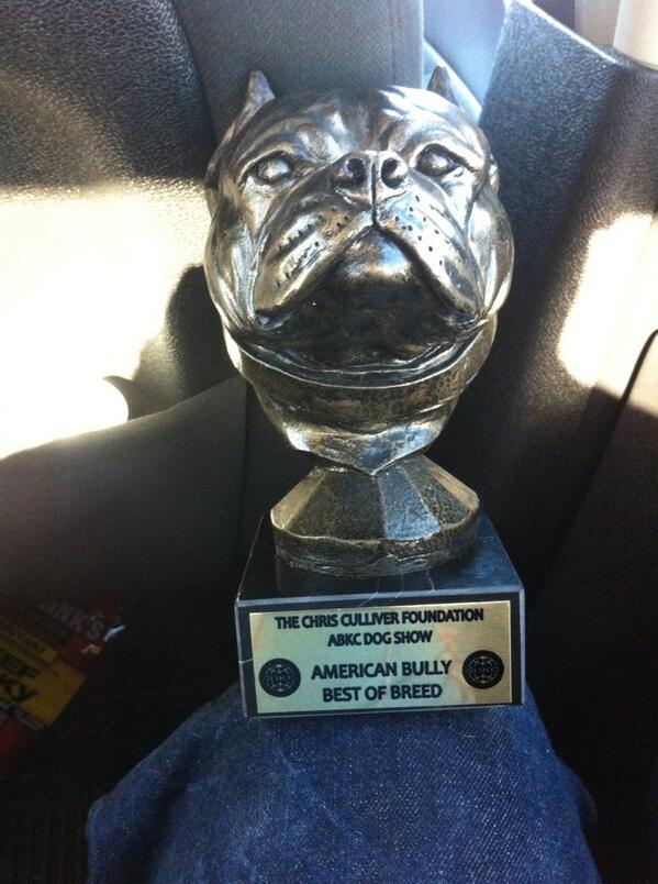 WCEJAMESLEWIS's tweet photo. Grand champion brute secured another best in breed http://t.co/YhEr0TL3NX