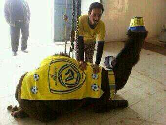 Bkiz3xQIUAEJ2eu.jpg (340×255)