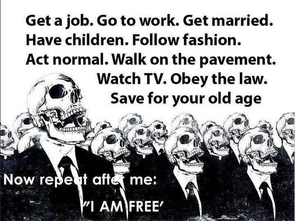 Livelyway tweet media