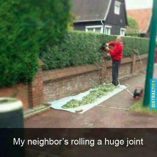 CauseWereGuys's tweet image. My neighbor rolls up fatties...