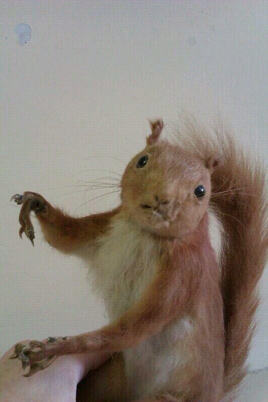 "<a href="/CrapTaxidermy/">Crap Taxidermy</a>: "Take my strong Hand child." " @AnnaWorden1
