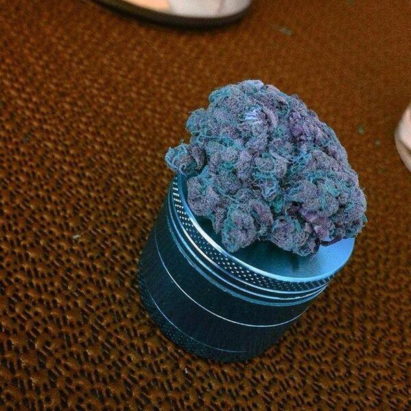 WeedComesFirst's tweet image. Cannagasm of the day!