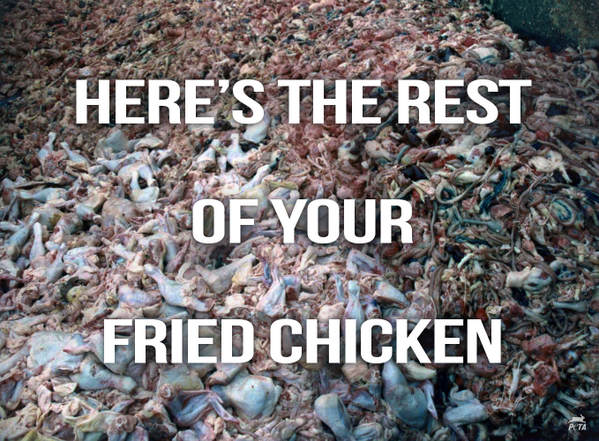 PETA tweet media