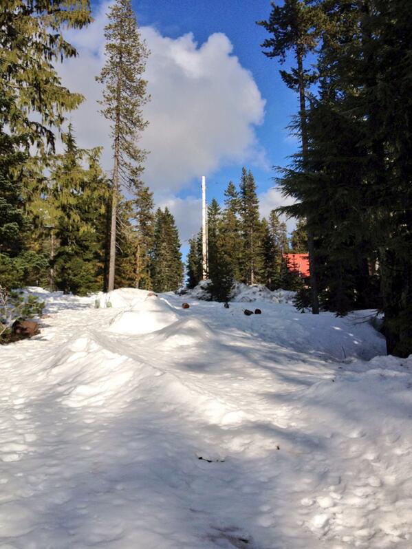 Natalie Oaks tweet media