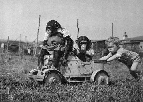 Permalien de l'image intégrée