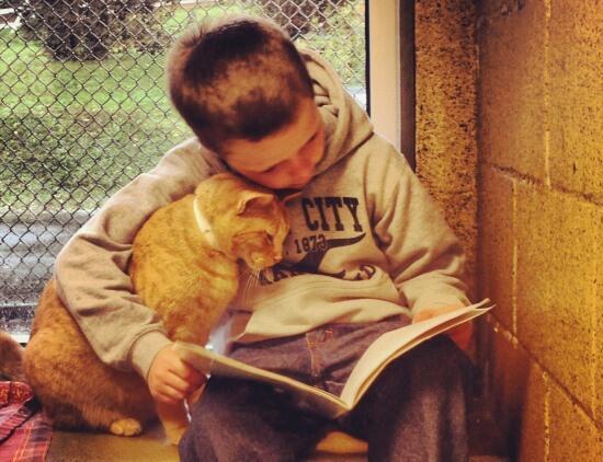 Boa noite! Trabalho voluntário mirim: abr.ai/1h9jZqC  Crianças leem p/ animais abandonados. Veja fotos!