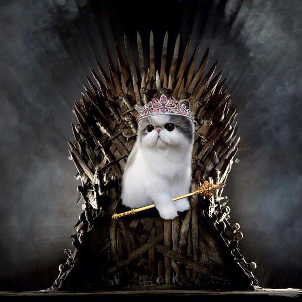 The ominous feeling I've had all day makes sense now. RT @darth #SubtweetsAreComing RT @SubtweetCat Game<a href="/tag/subtweetsarecoming"class="tags"><span>#subtweetsarecoming</span></a>