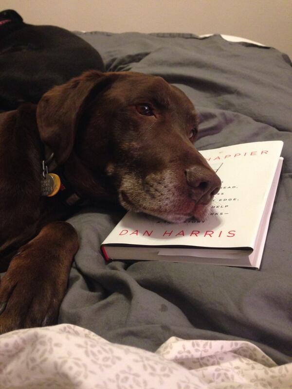 ChisolmJill's tweet photo. @danbharris I guess someone prefers attention tonight versus letting me read!! http://t.co/SPbiRCwVpZ