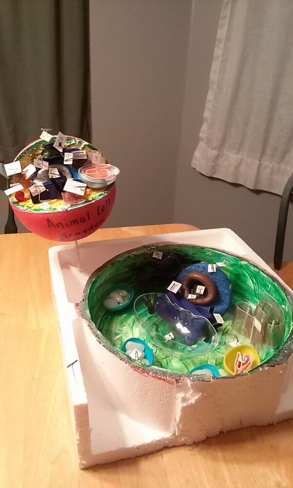 1WandaWhitworth's tweet image. Finally finished #Kidshomework