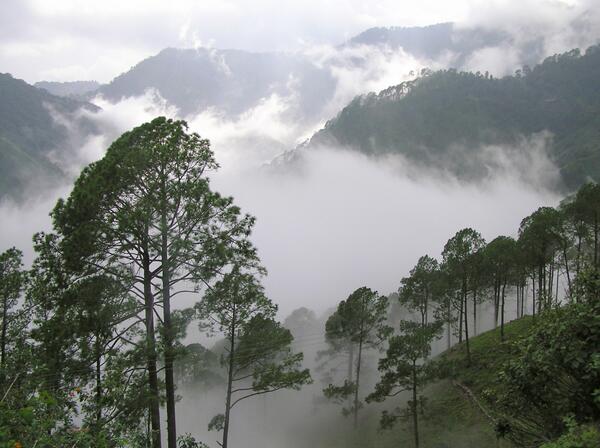 VResortsChain's tweet photo. Its #WorldHealthDay,how about making a healthy start by planning a #trekking holiday to Sattal.http://t.co/7DzPDojdHL http://t.co/KrRnPEZPpi