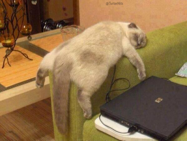 TuiterHits's tweet photo. Mi estado de ánimo actual. http://t.co/hew4tkX3uV