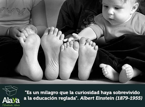 AlayaInfancia's tweet photo. "Es un milagro que la curiosidad haya sobrevivido a la educación reglada" Einstein #citadeldia #lunes #infancia http://t.co/nWawsxgiHZ