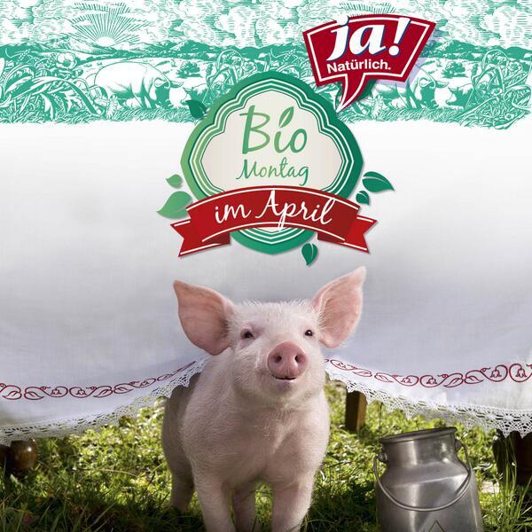 ja_natuerlich's tweet photo. Heute ist #Biotag - exklusiv bei @merkurmarkt: Jeden Montag im April -20% auf das gesamte @ja_natuerlich Sortiment! http://t.co/nWtfvEcEdY