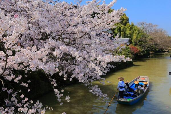 Gabriele Corno tweet media