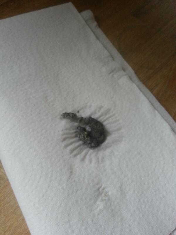 PkwHeating's tweet image. This is what a customers heat exchanger is full of, he never had his boiler serviced. Dont let yours get this bad!