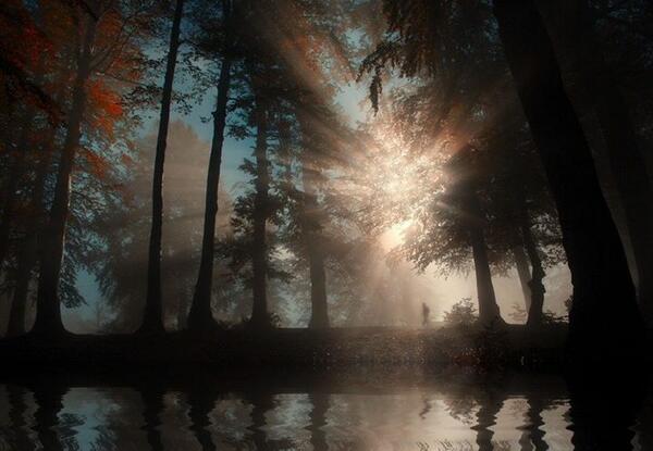 Gabriele Corno tweet media