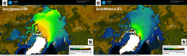 WWF ArkGIS tweet media