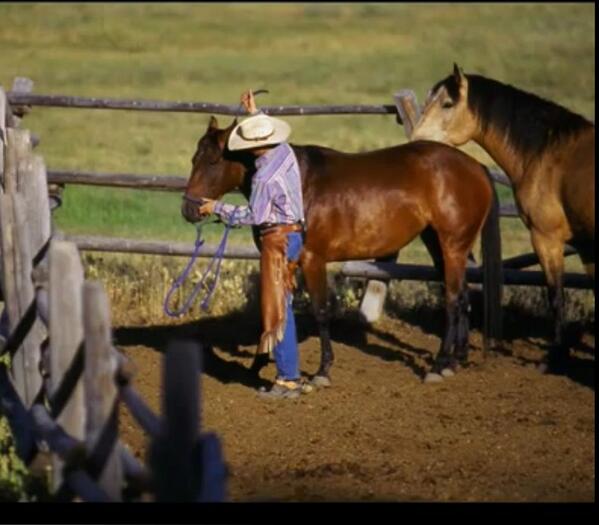 ElRancheroI's tweet photo. Lo ranchero para que se me quite 😏😏😏 http://t.co/WCKiPoClc5