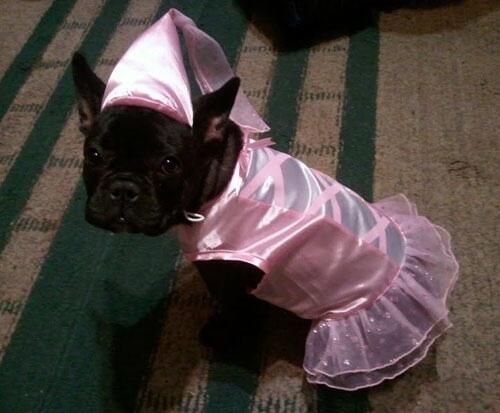 I'm sleepy but I'm still dressed fancy from the party!
